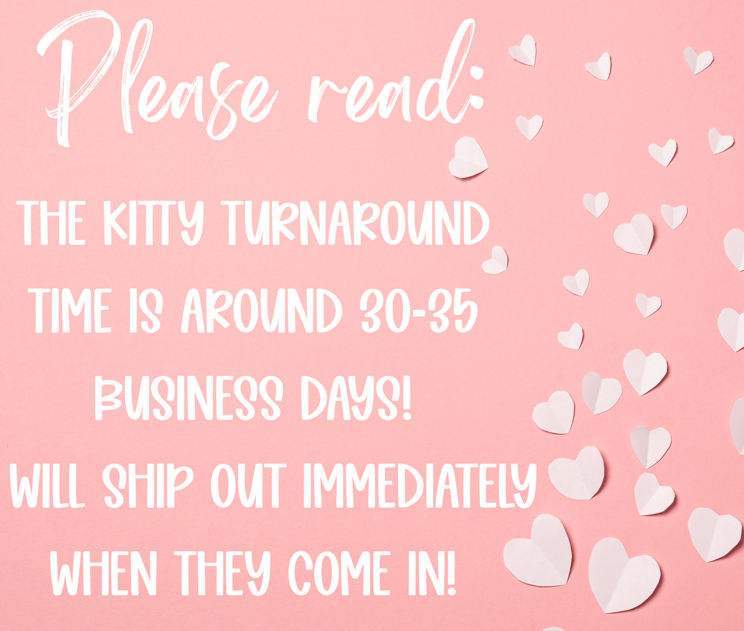 Kitty Kitty PRE ORDER (Please read the description)
